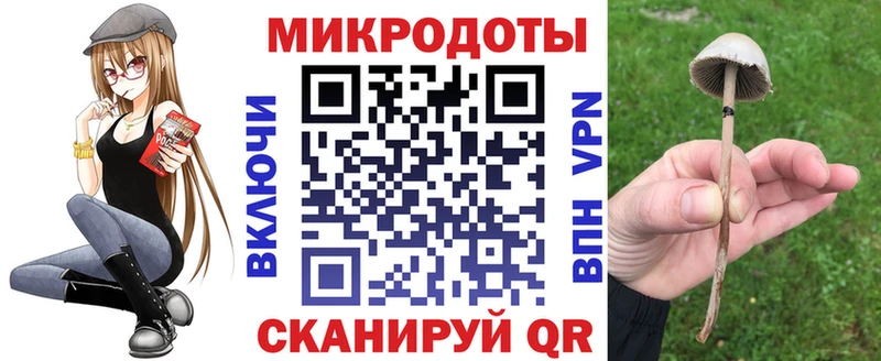 цена   гидра вход  Галлюциногенные грибы Psilocybe  Томск 