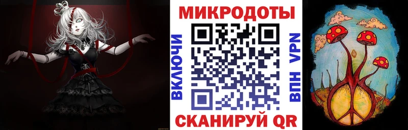 Псилоцибиновые грибы прущие грибы Томск